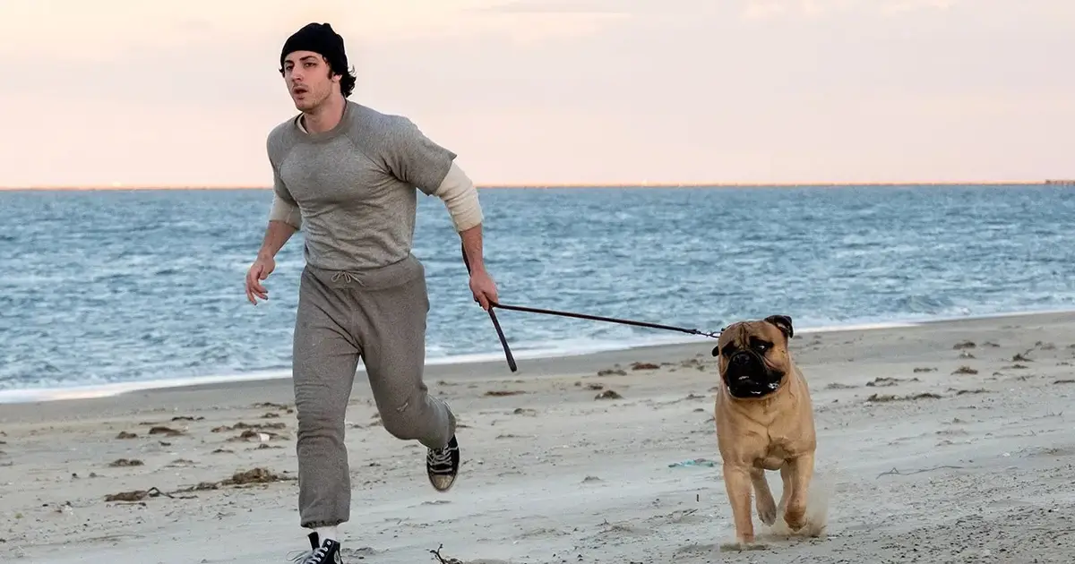 ‘I Play Rocky’ Review: Peter Farrelly’s Sensational Biopic Of The Making Of Stallone’s Classic Is Just As Inspiring As The Original Movie Itself – Toronto Film…