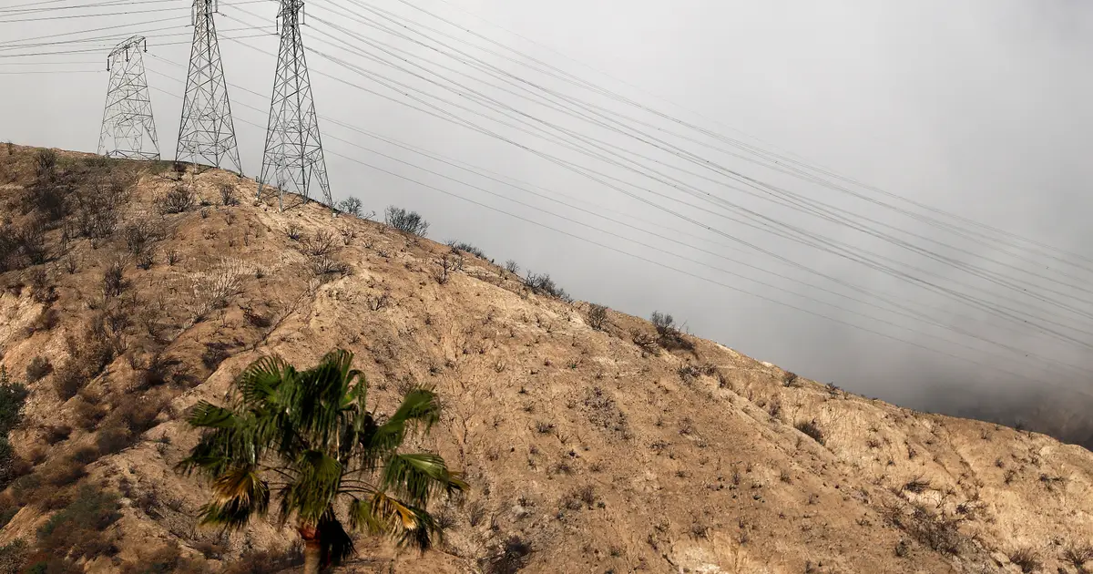 Edison Tower Caused Deadly Eaton Fire That Nearly Decimated Altadena, Investigation Finds