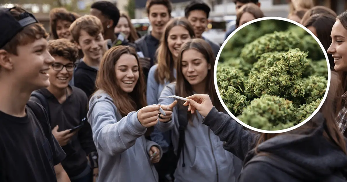 How Rising Teen Marijuana Use Is Rewriting Adolescent Health Risks