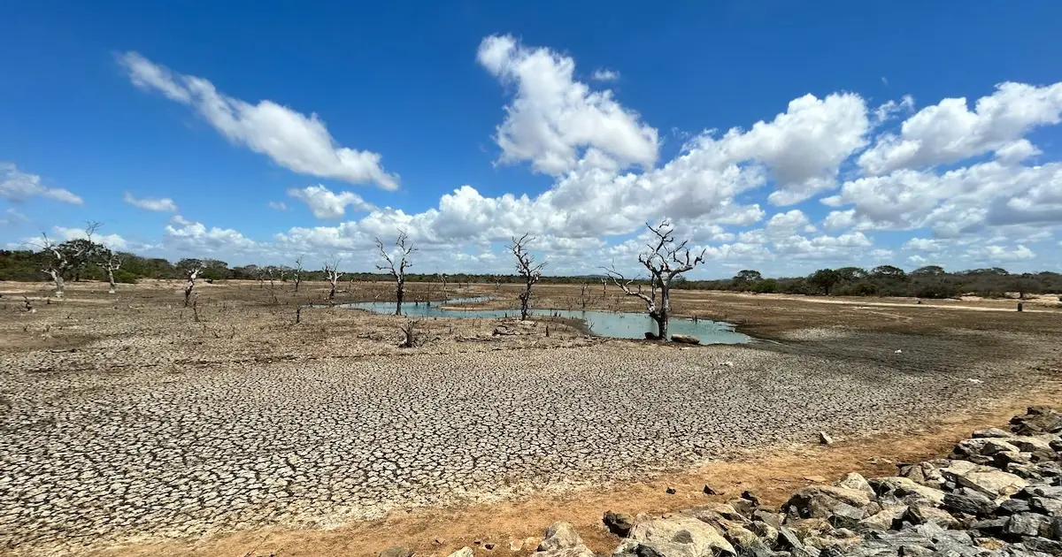 We Are  Living Beyond Our Hydrological Means , UN Report Warns