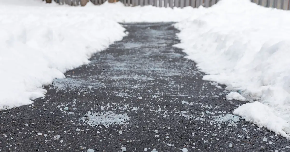 Lee County Government shares preparation tips for residents , highlights coordination efforts ahead of Winter Storm Gianna