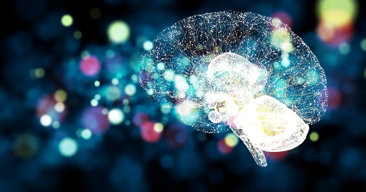 3 AI Chip Stocks to Buy in January : Nvidia , AMD , and Broadcom Battle for Market Share