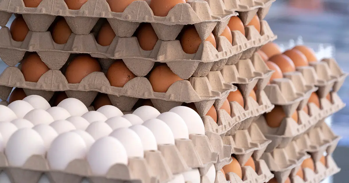 Egg prices fall to 2023 levels , but wont last for long