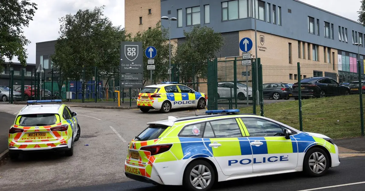Girl , 14 , in court over triple stabbing at school