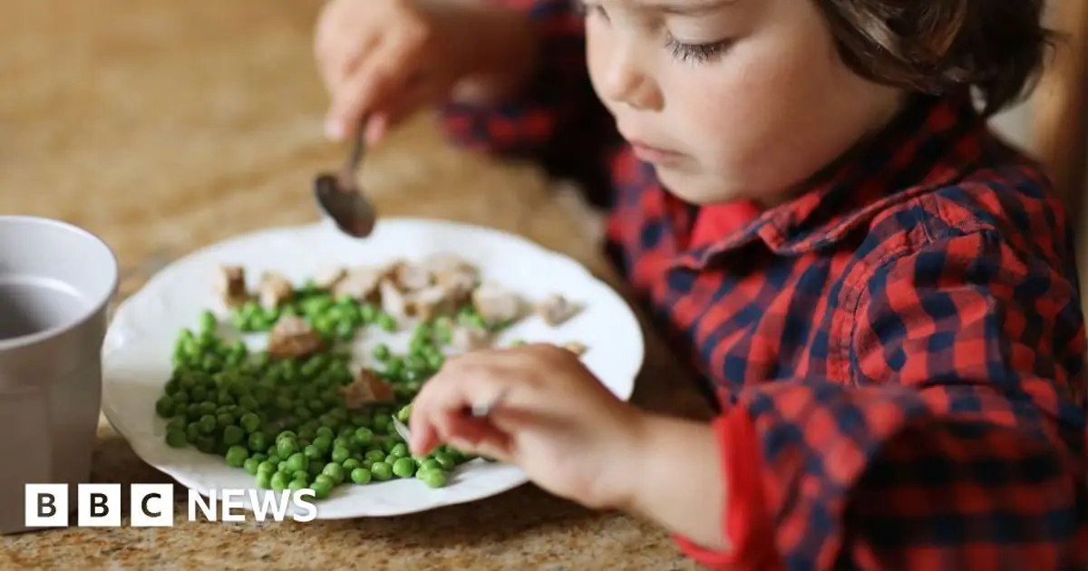 Billions of meals at risk due to Iran war, says fertiliser boss