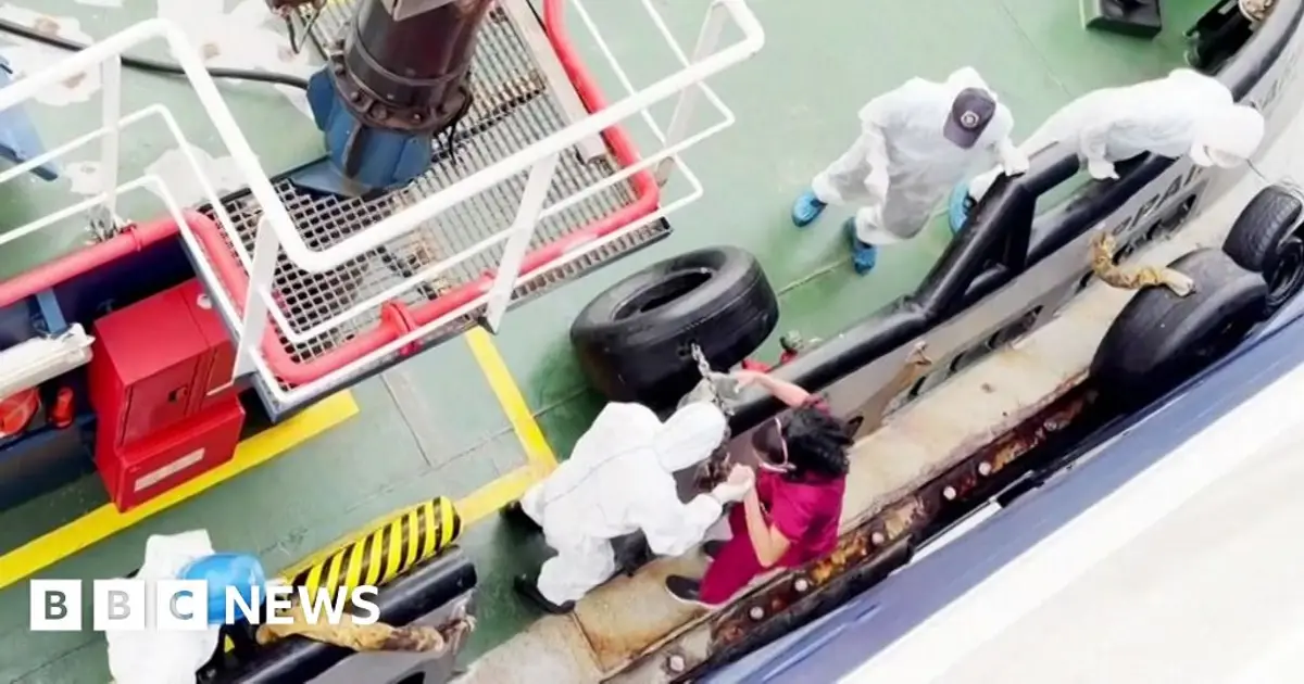 Hantavirus may have spread between passengers on cruise ship, WHO says