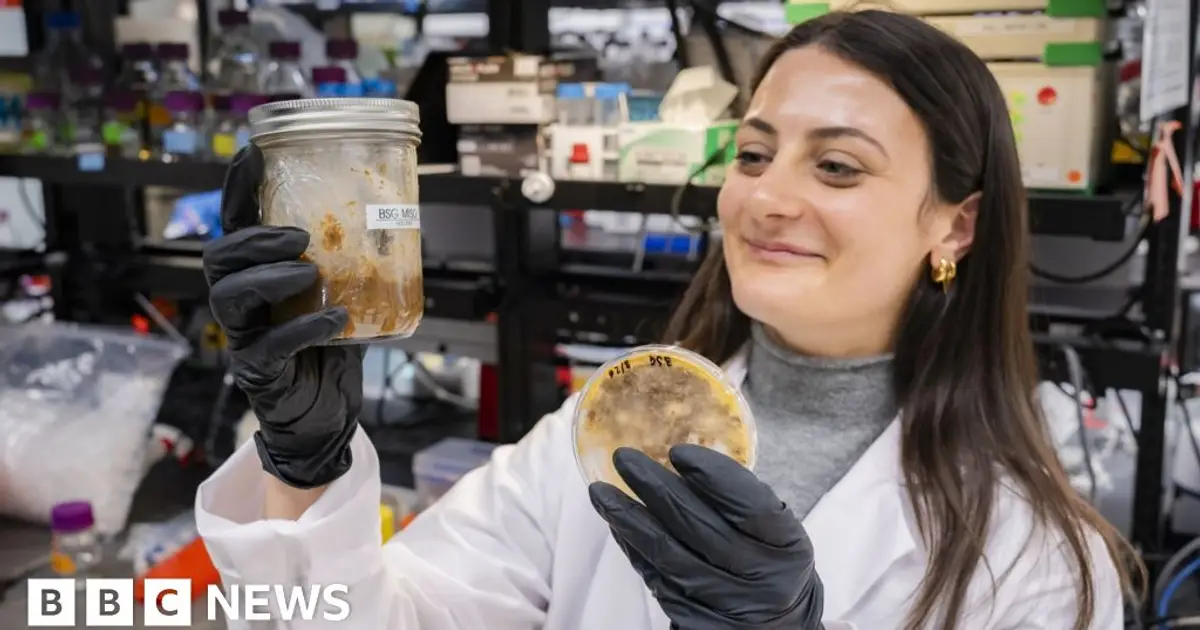 The ancient trick making food waste useful and tasty