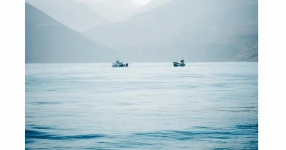 Why Trump Wants Greenland and Why You Should , Too