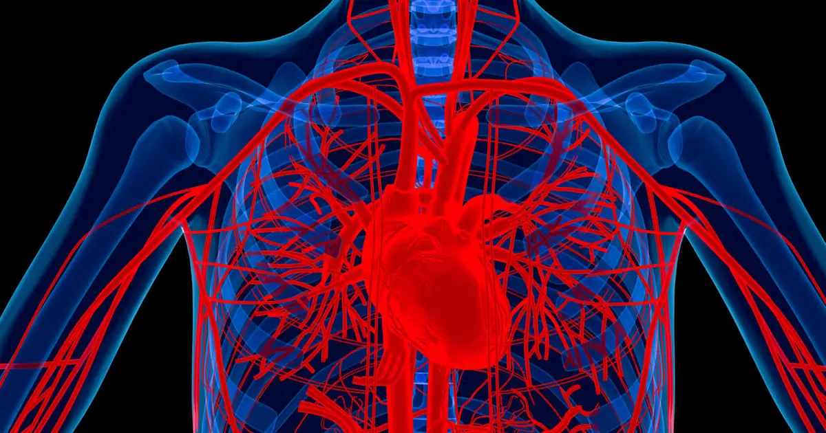Lindsey Graham died from a rare heart condition. Here’s how to know if you’re at risk.