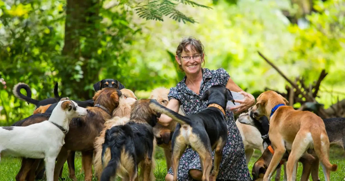 My friend grosses $300,000 a year with her pet-sitting business. She pays herself $50,000. Should I do the same?