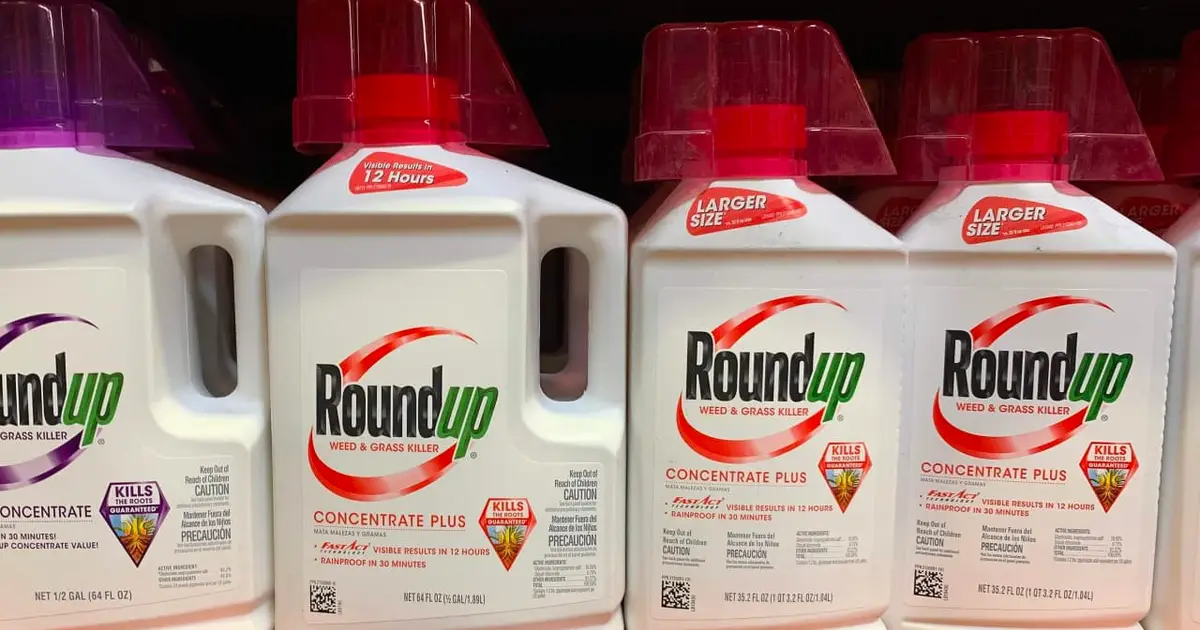 Bayer’s stock jumps after Supreme Court sides with Roundup weedkiller manufacturer