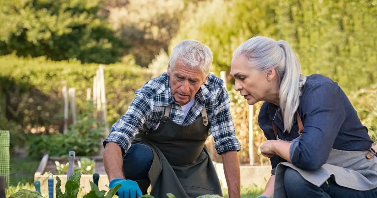 ‘We own our home outright’: I am 67 and earn $100,000. Do I take my $30,000 Social Security now or wait?