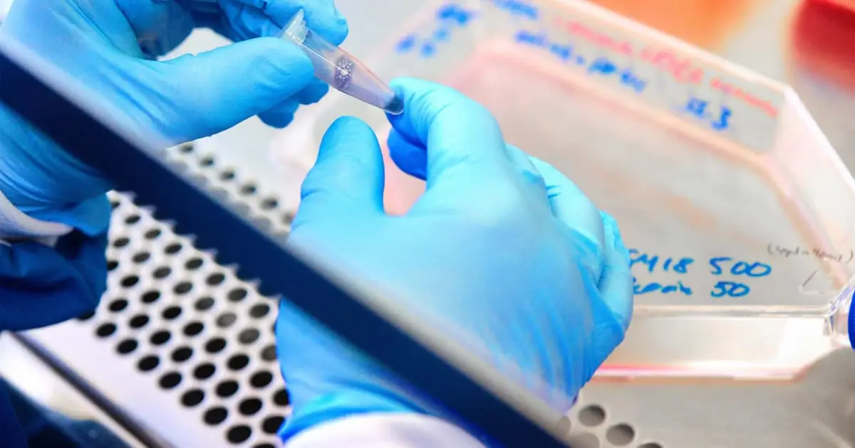 Investors are overlooking healthcare stocks and should consider these top picks, says JPMorgan