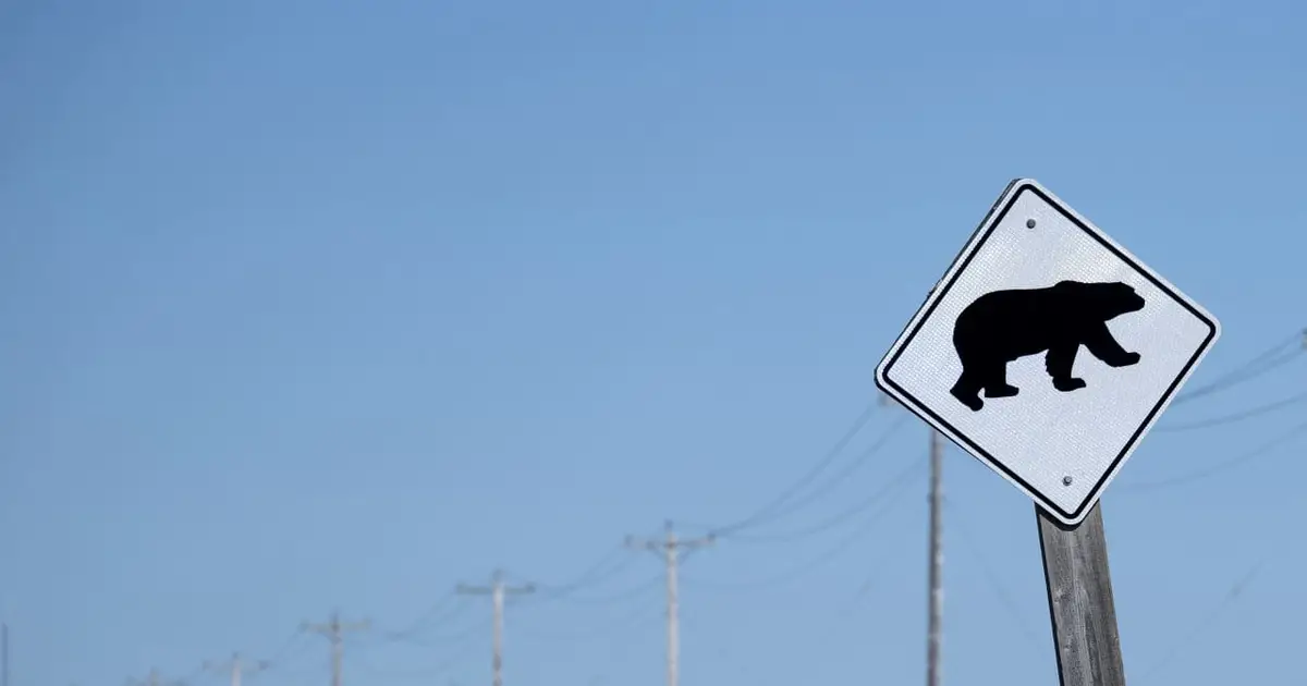 Micron, Intel drag the tech sector into a new bearish phase. Will the correction last this time?