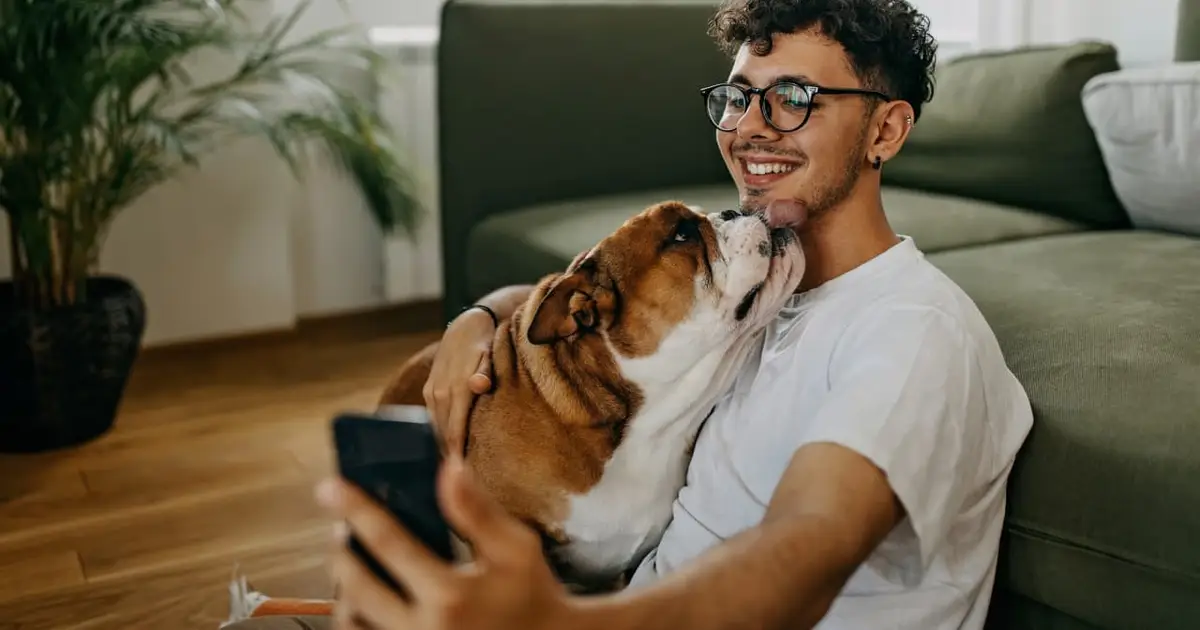 ‘I know end-of-life stuff can be expensive:’ How much money should I expect to spend on care for my senior bulldog?