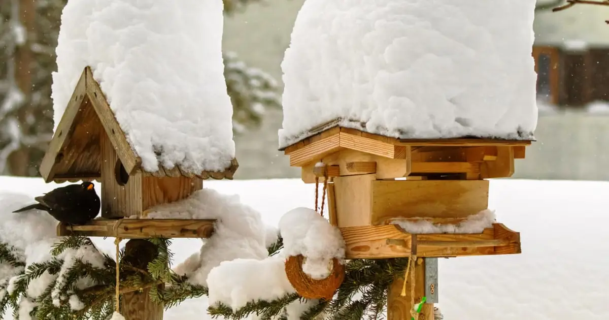 I want to be a snowbird, but I’m not sure my $2 million nest egg can sustain two homes