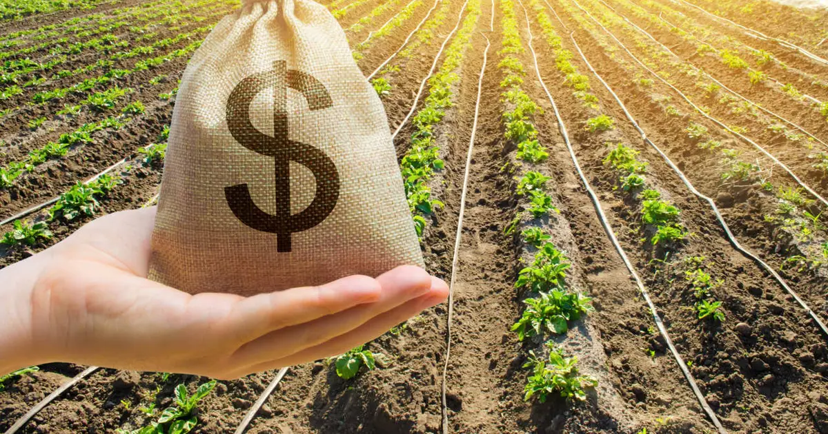 Farmers are already set for a $55 billion payday — why does Washington want to give them more?