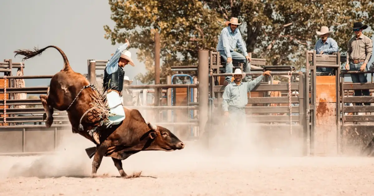The bull market got a new lease on life — can it last?