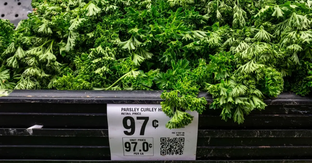 The cyclospora outbreak is the biggest ever. Why the ‘unusual’ outbreak is so hard to manage.