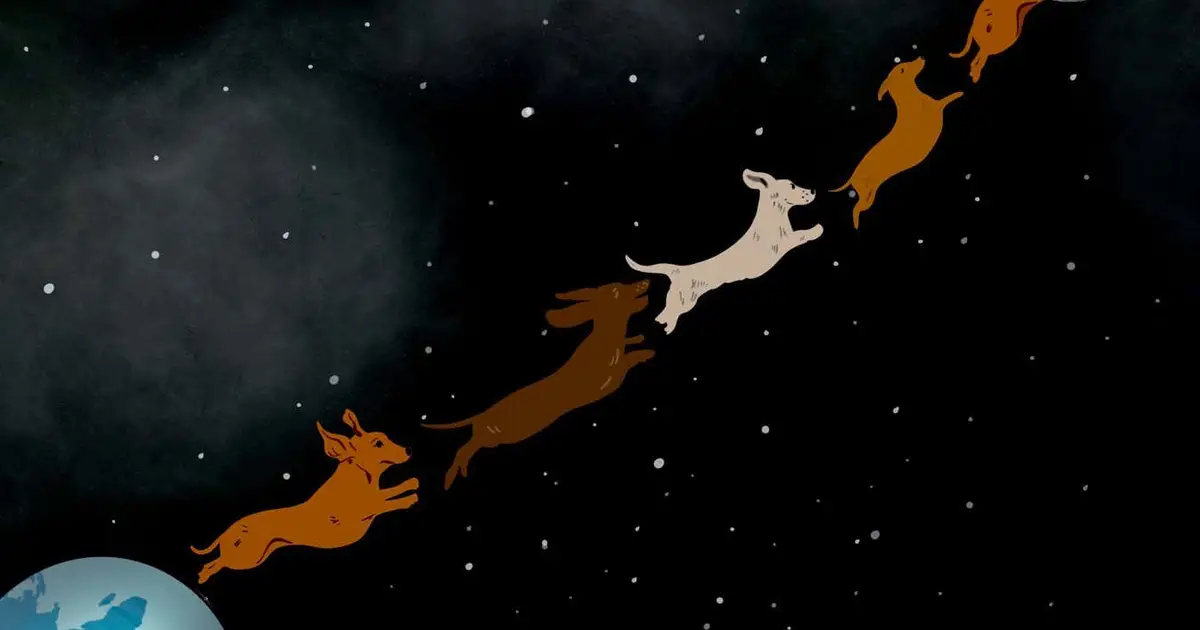 How many dachshunds would it take to get to the moon?