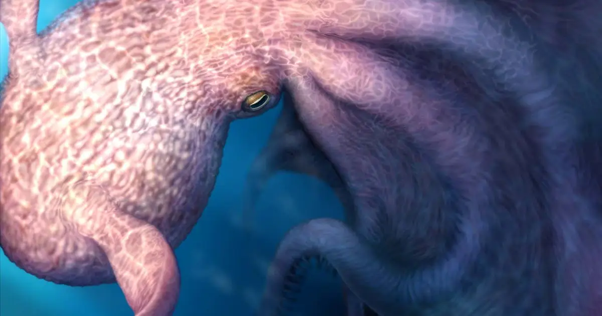 Largest-ever octopus was great white shark of invertebrate predators