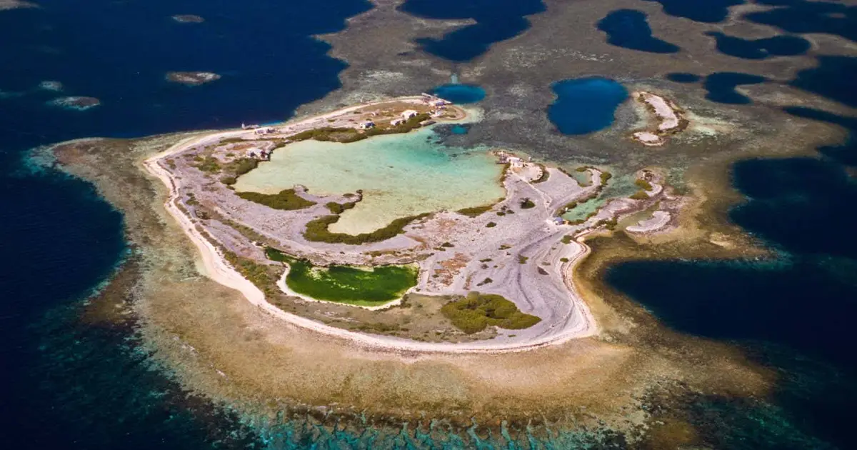 Coral reefs on a remote archipelago shrugged off a massive heatwave