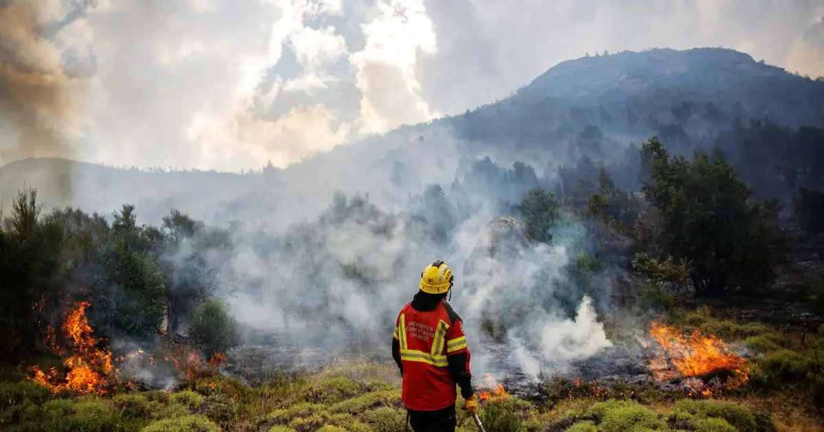 2026 will be the hottest year on record, leading scientist predicts