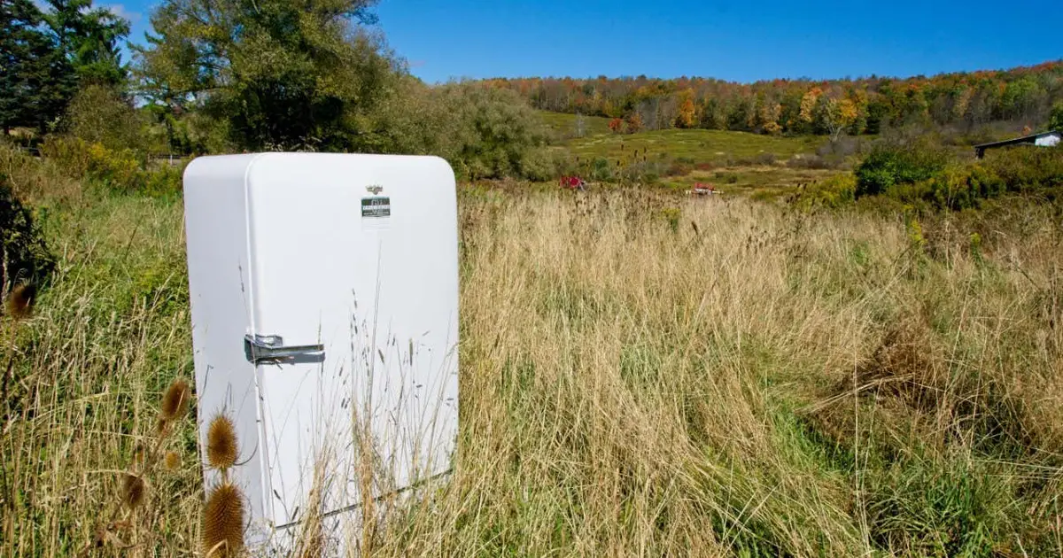 Why do particle physicists like spending time in fields?