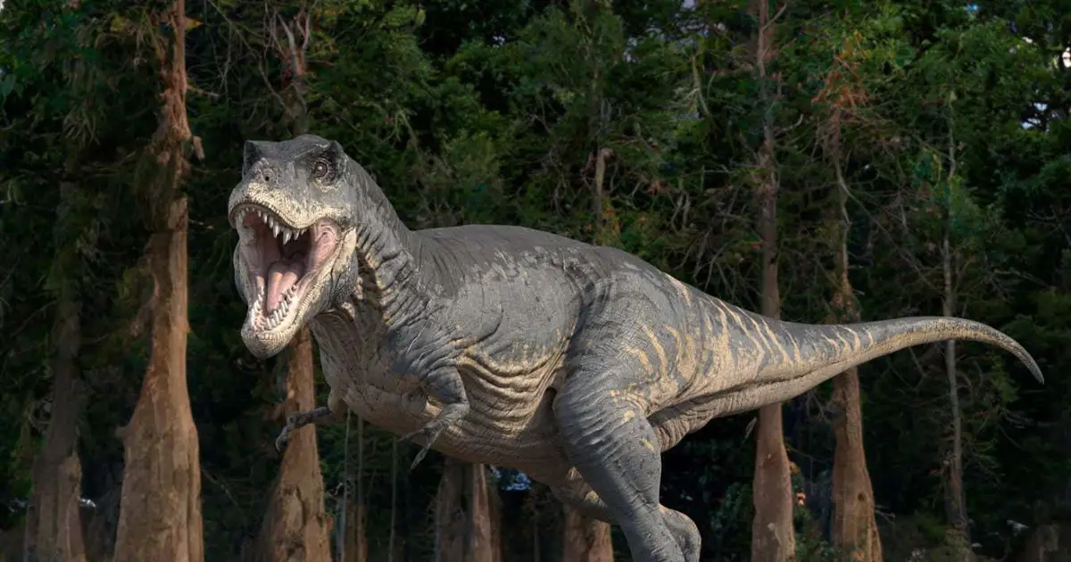We may finally know why dinosaurs like T. rex evolved tiny arms