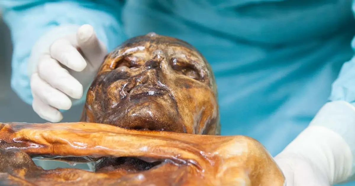 Ötzi's frozen remains may harbour metabolically active microbes