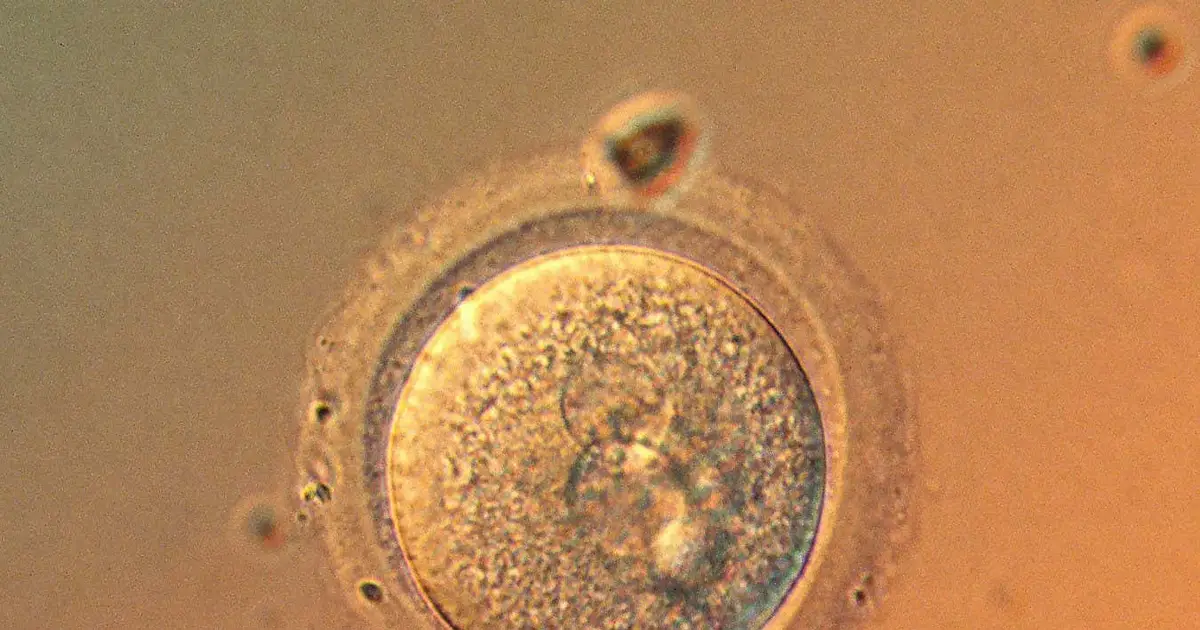 Are we getting to the point where it's safe to gene-edit babies?