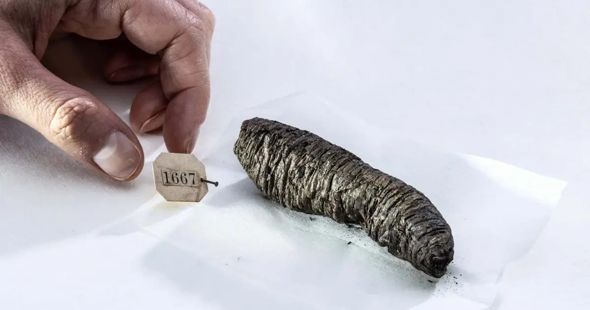 Lost books by ancient philosophers recovered from 'unreadable' scrolls