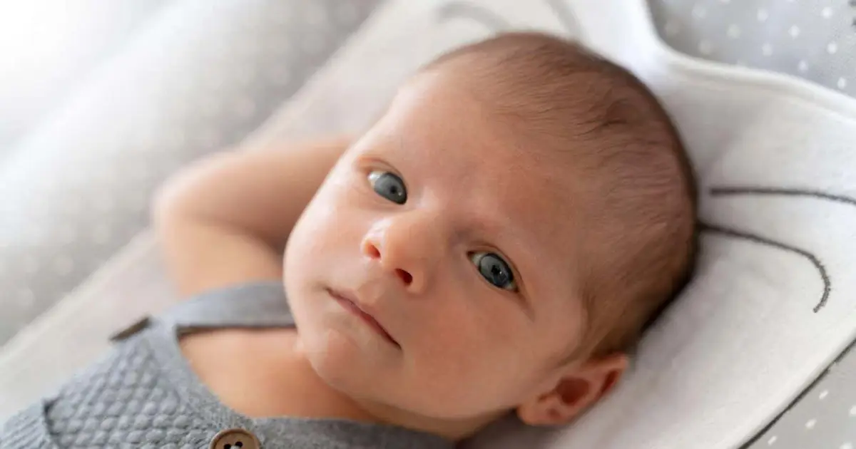 Babies are born with the neural foundations for maths
