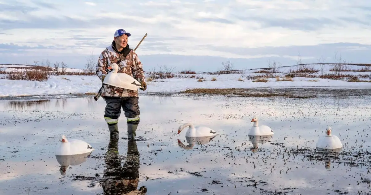 Evocative photos of Canadian Arctic win New Scientist Editors Award