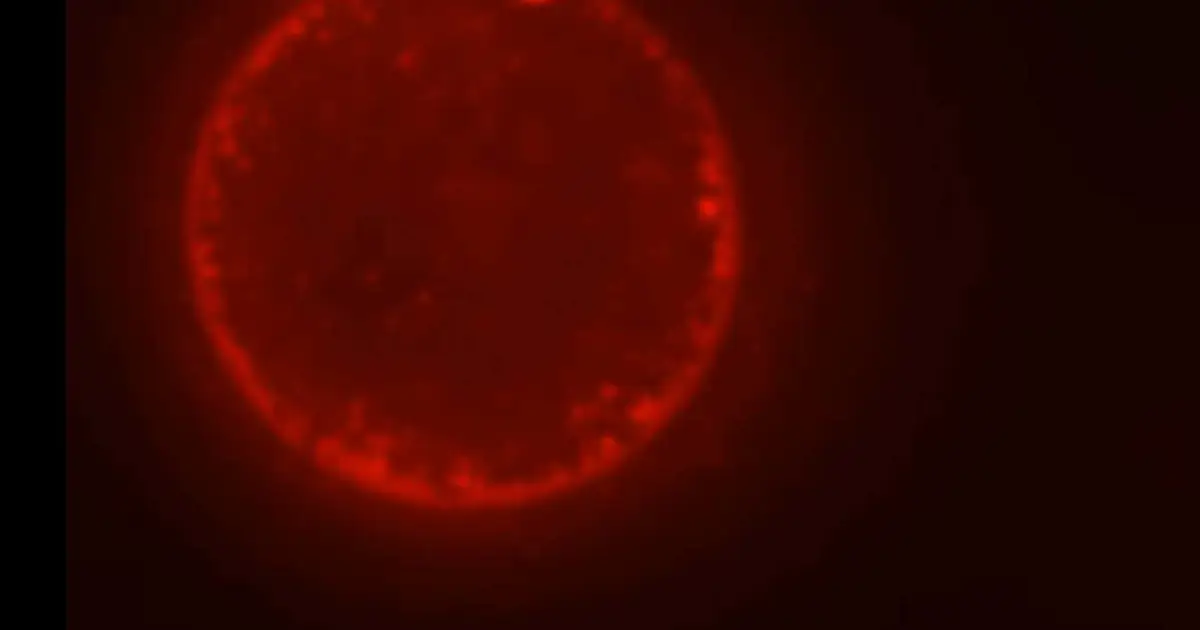 Synthetic biology may finally be ready to solve life's biggest mystery