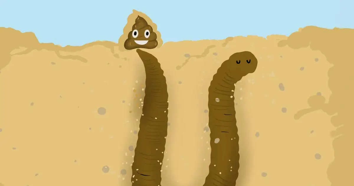 A surprisingly detailed look at the physics of a lugworm's poop