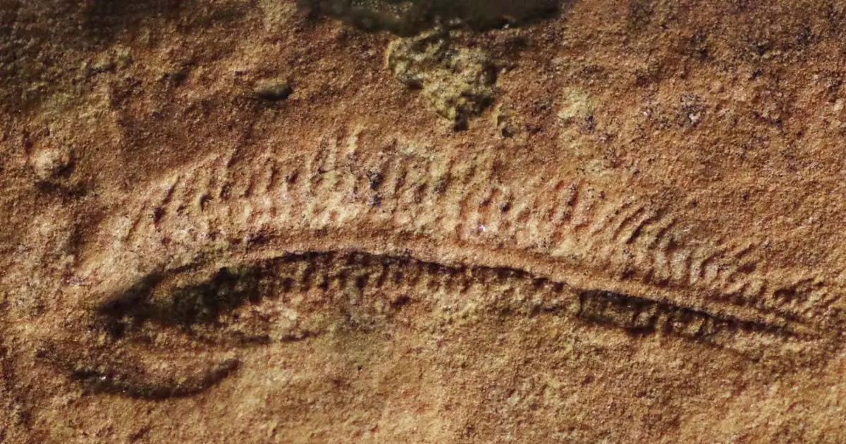 A worm that lived half a billion years ago preferred turning right