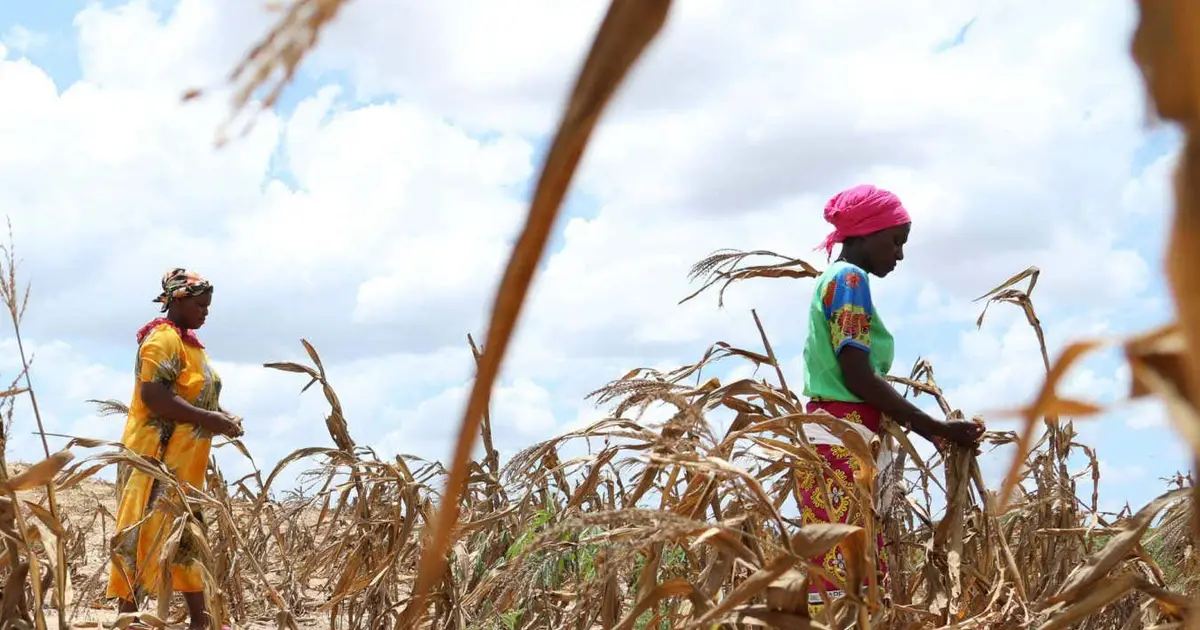 Global warming already causing crop losses of over $20 billion a year