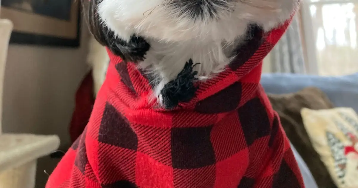 Other Barks & Bites for Friday , February 6 : Counterfeit Study Shows 41 % Fail Product Safety Standards ; USPTO De - Designates PTAB Precedentials on RPI Amendments
