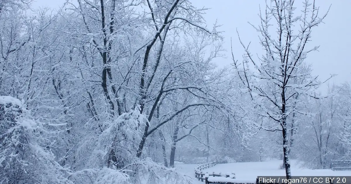 How should you prepare for the incoming winter storm ?