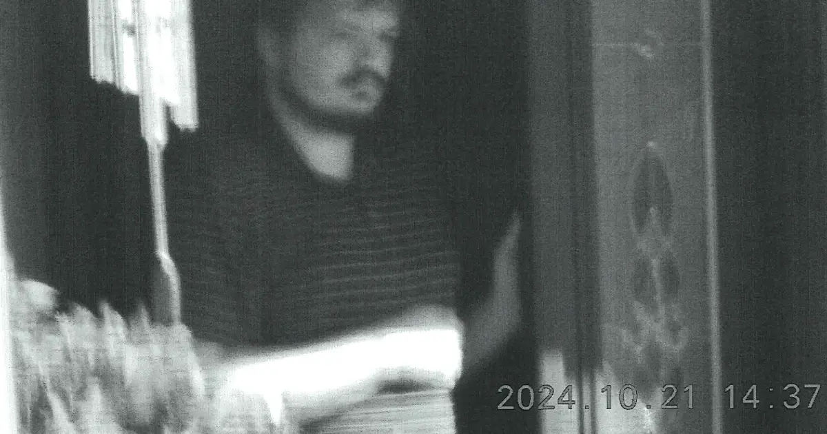 Canadian Man Pleads Guilty in Snowflake Extortions