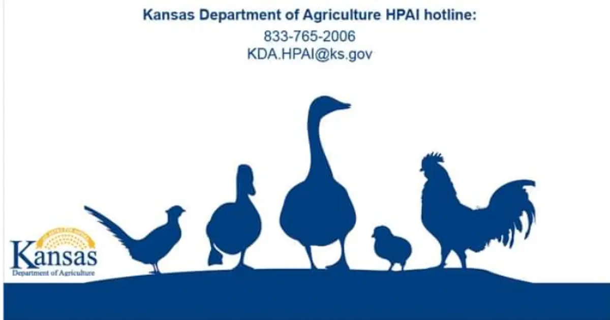 Signs of bird flu reported at zoo in Kansas
