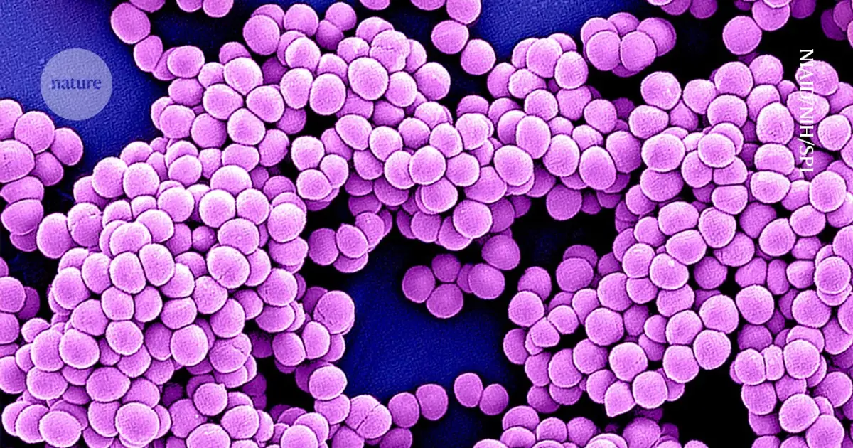 AI is taking on antibiotic resistance — here’s how