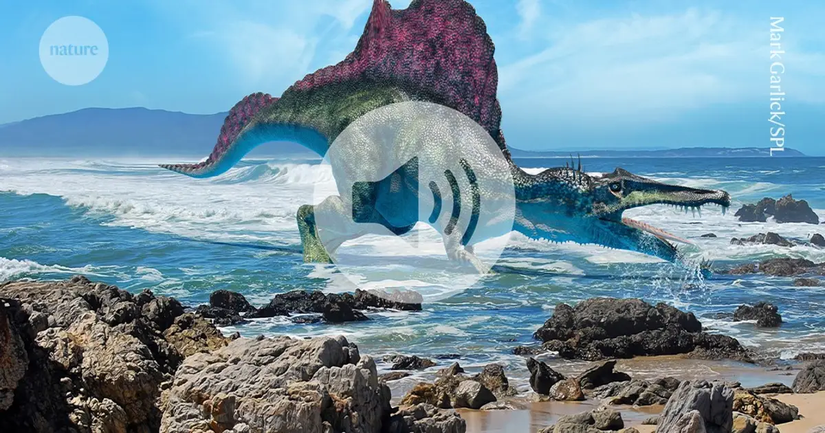 Briefing chat: Spinosaurs with salt glands could have lived in marine environments