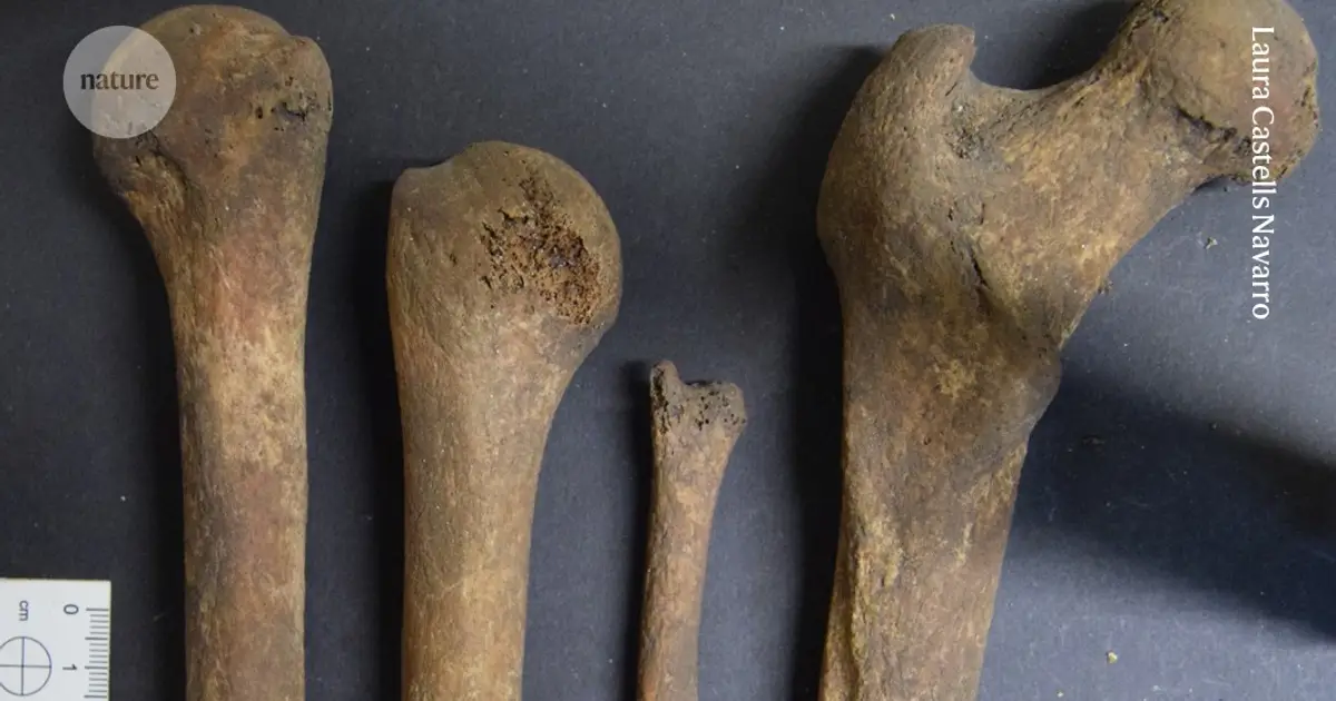Bones of Iron Age skeleton were whittled into tools