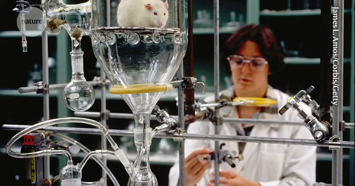 The EU needs to back its ambition to end animal testing with cash