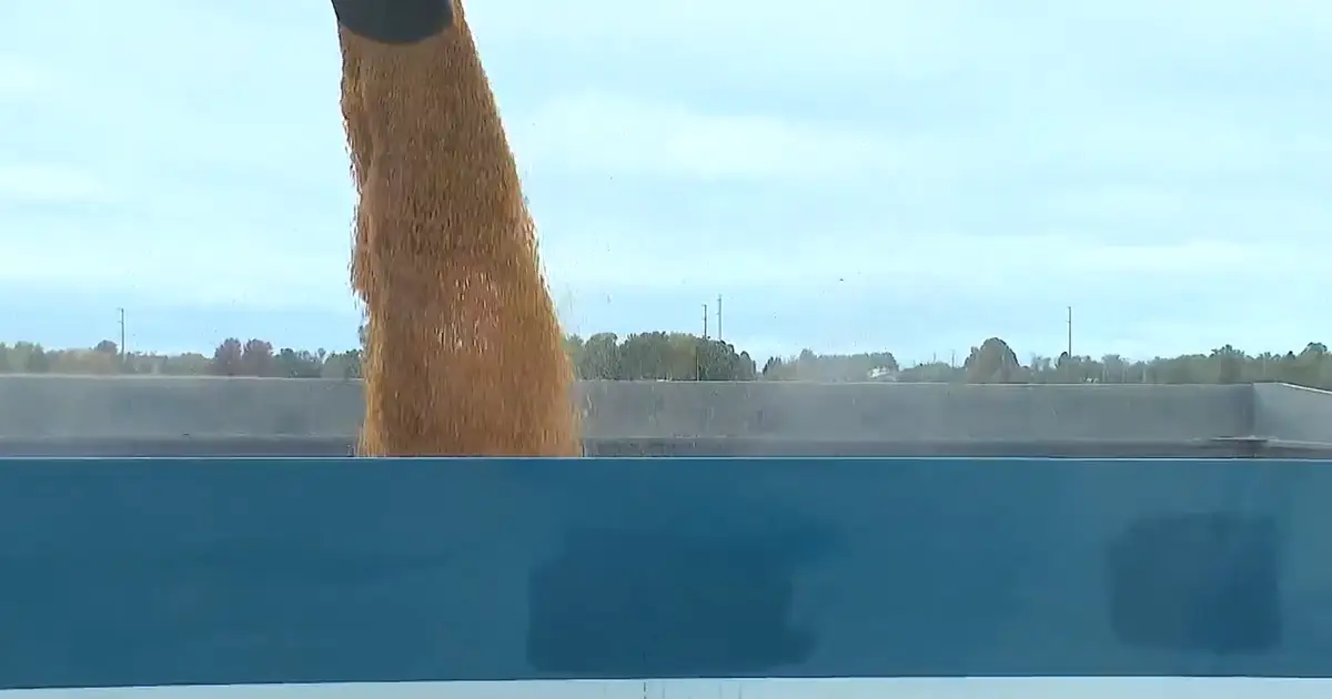 Indiana farmers voice frustrations with costs , Trump tariffs – NBC Chicago