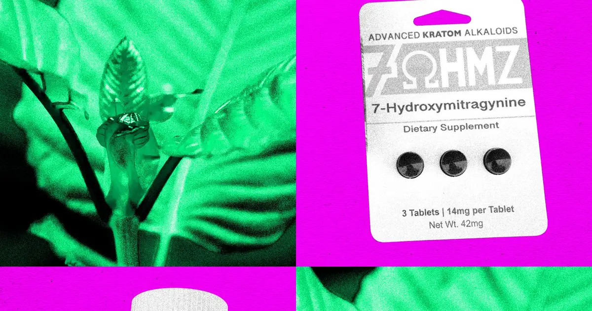 The DEA Plans to Ban Opioid-Like Kratom Compound 7-OH