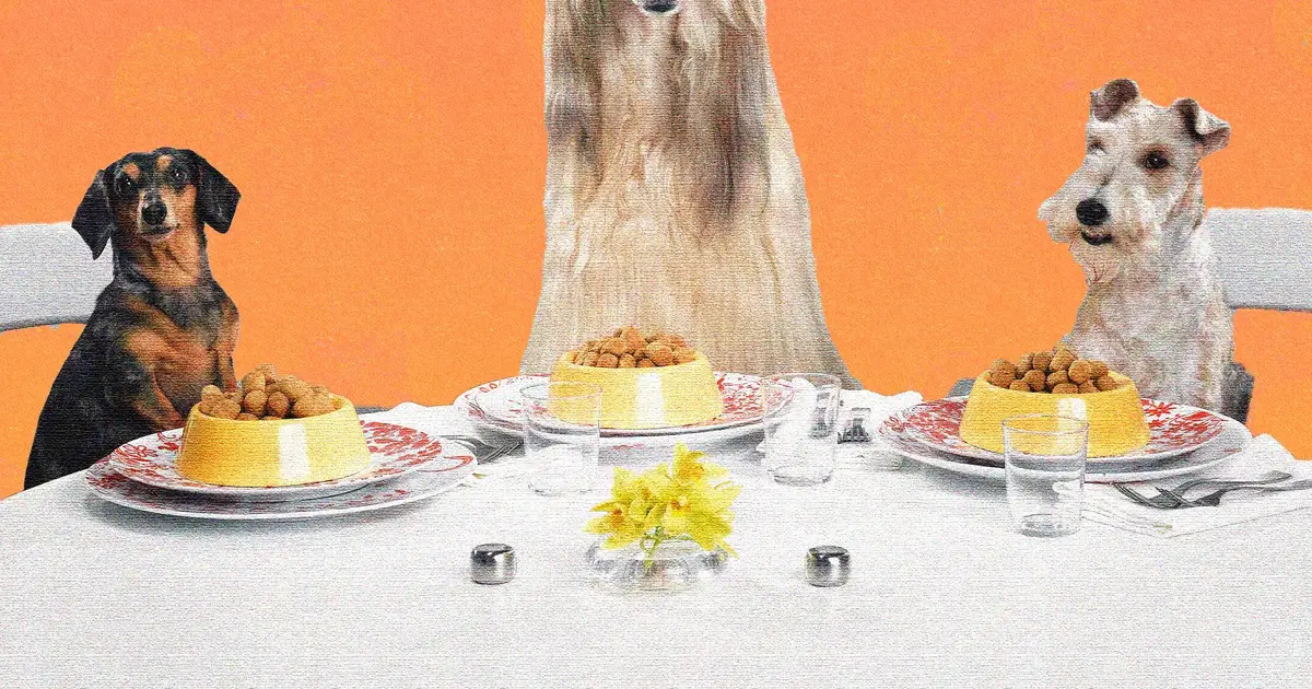 We Make Lovely Home-Cooked Meals for Ourselves. Why Not Do the Same for Our Dogs?