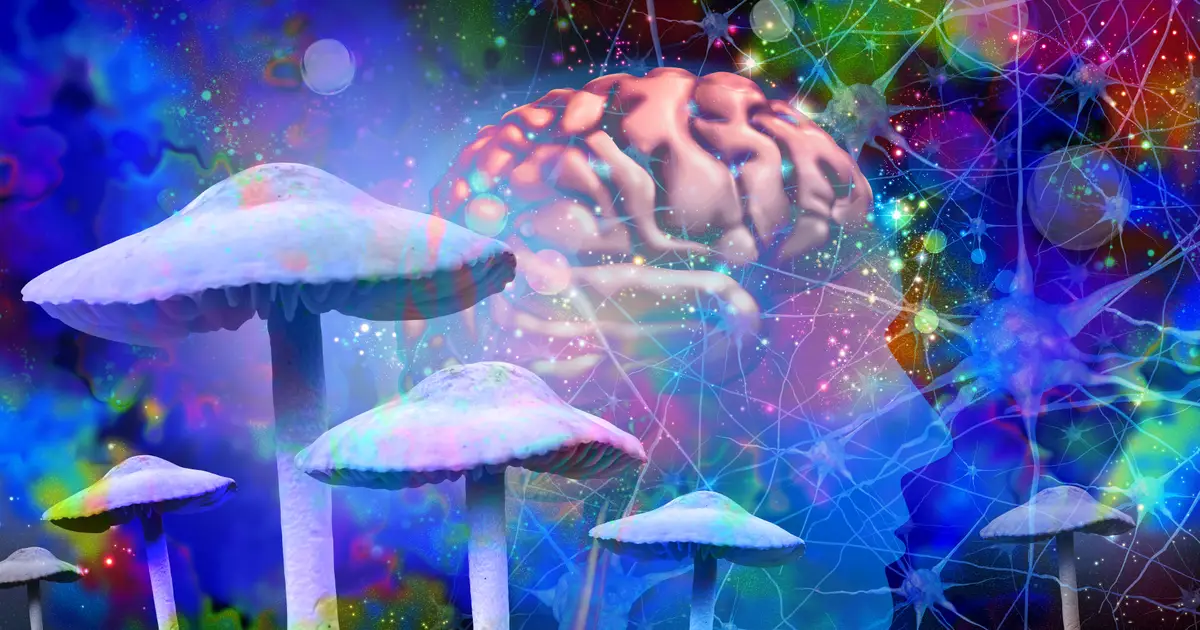 Psilocybin Might Make Your Brain Live in the Moment